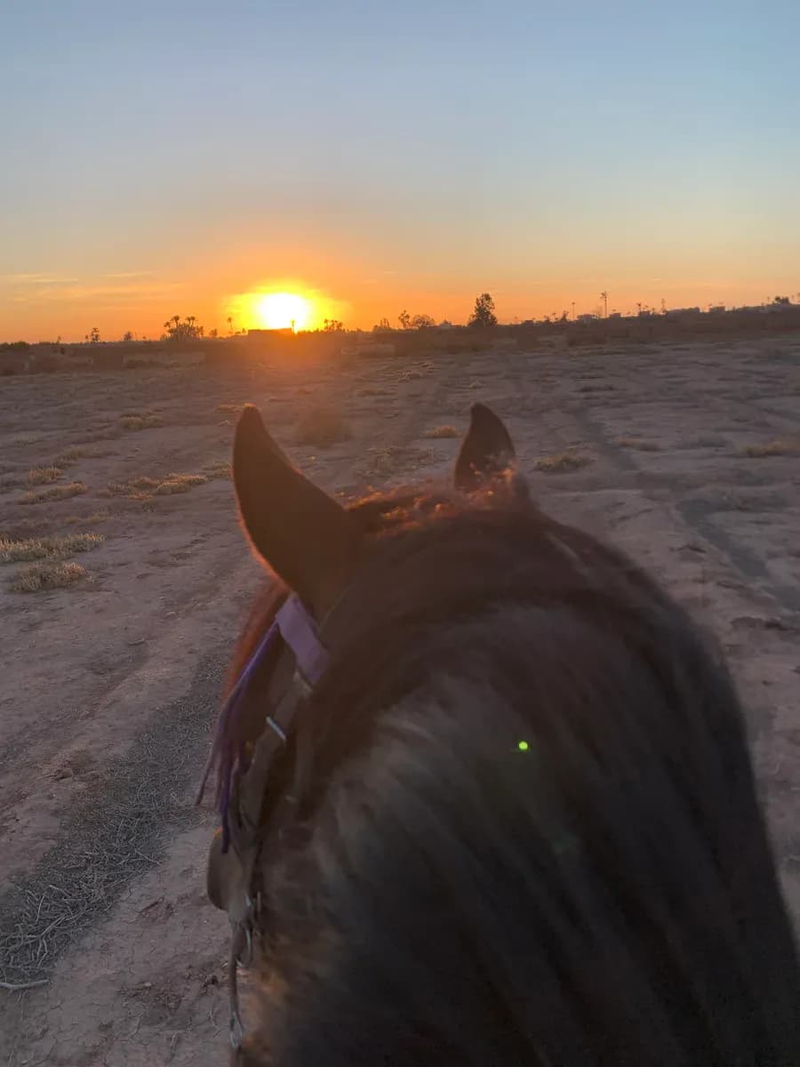 Sunset Horse Ranch 3