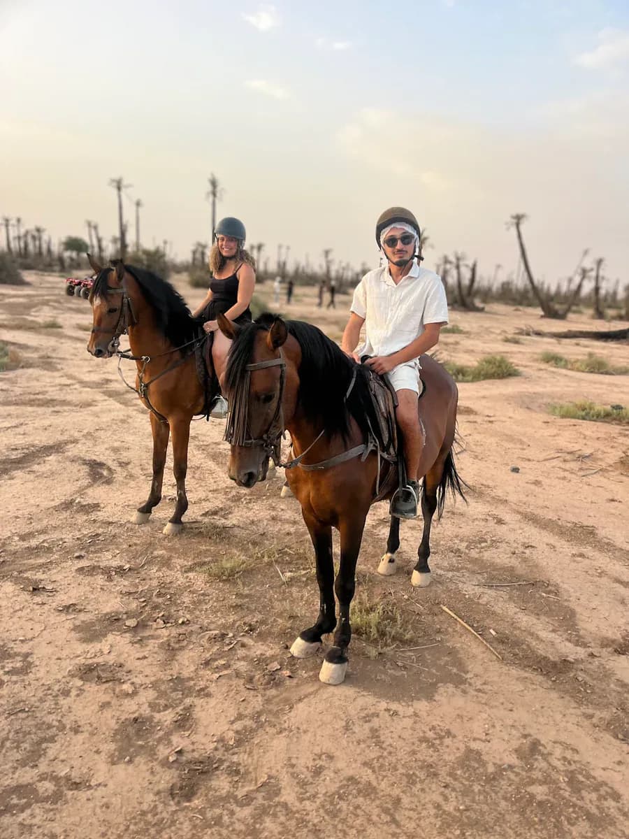 Cheval Marrakech Bab Atlas 2