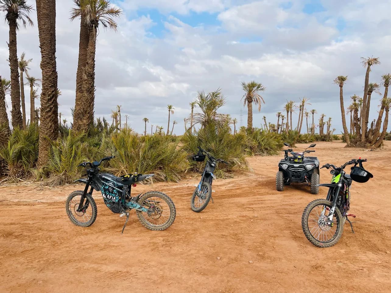 Moroccan Palm Grove Off-Road Adventure