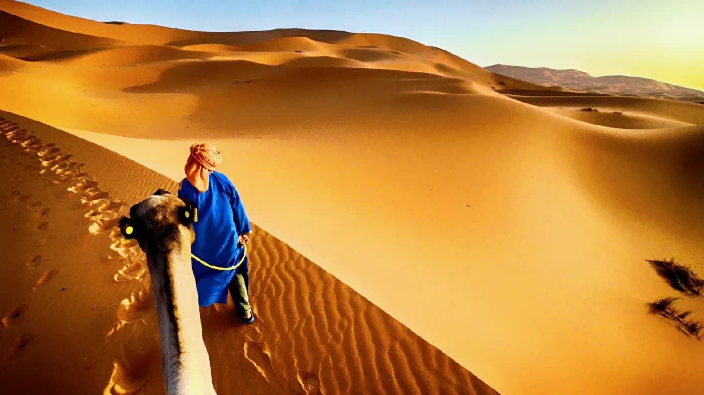 Camel Trek Across Morocco’s Golden Dunes