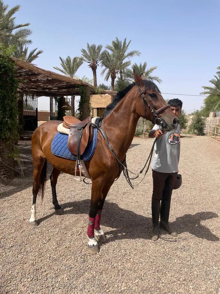 Balade à Cheval Marrakech 3