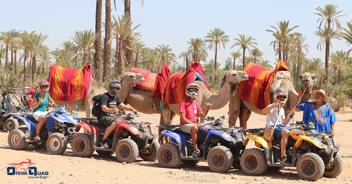 Quad Biking and Camel Ride Among the Palm Groves