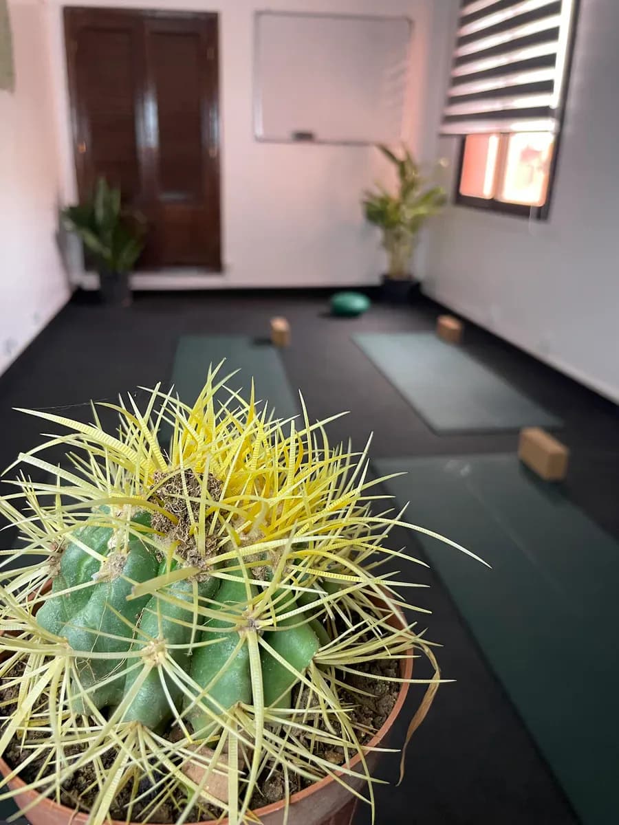 Kioze Yoga Studio 3