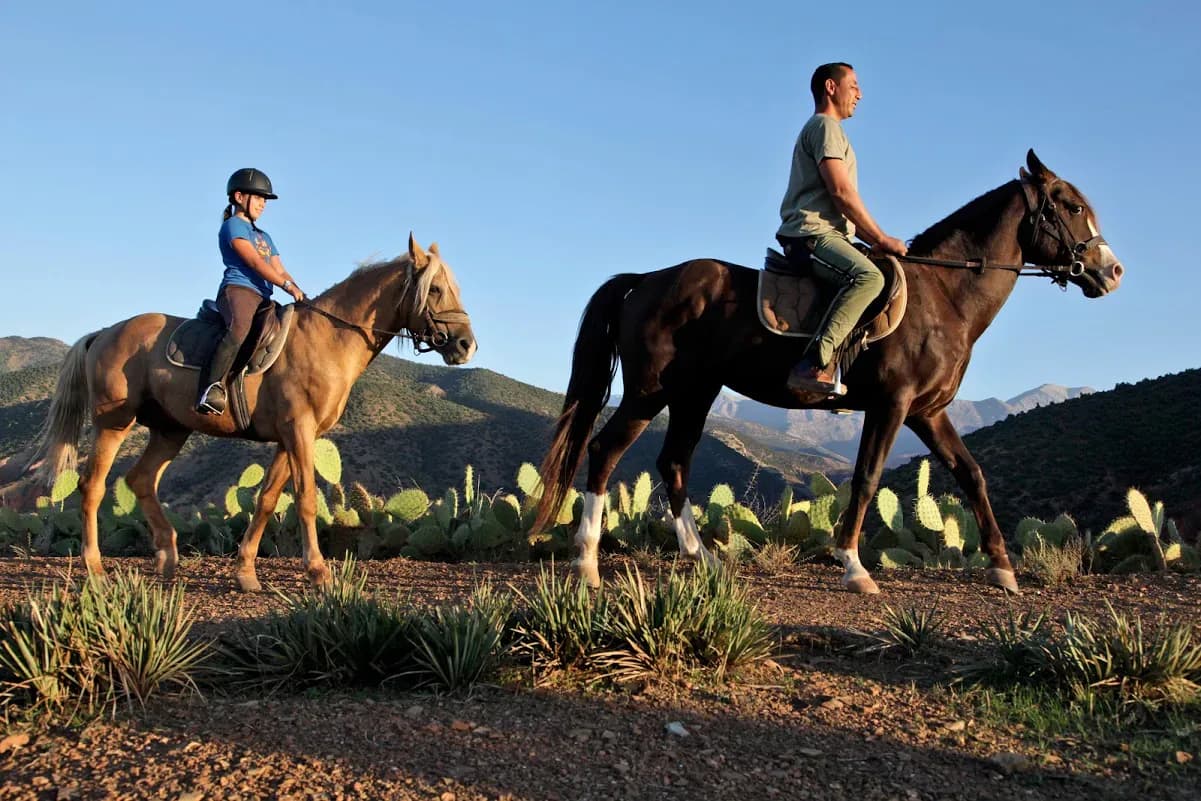 Horseback Ride Through Morocco’s Mountain Landscapes