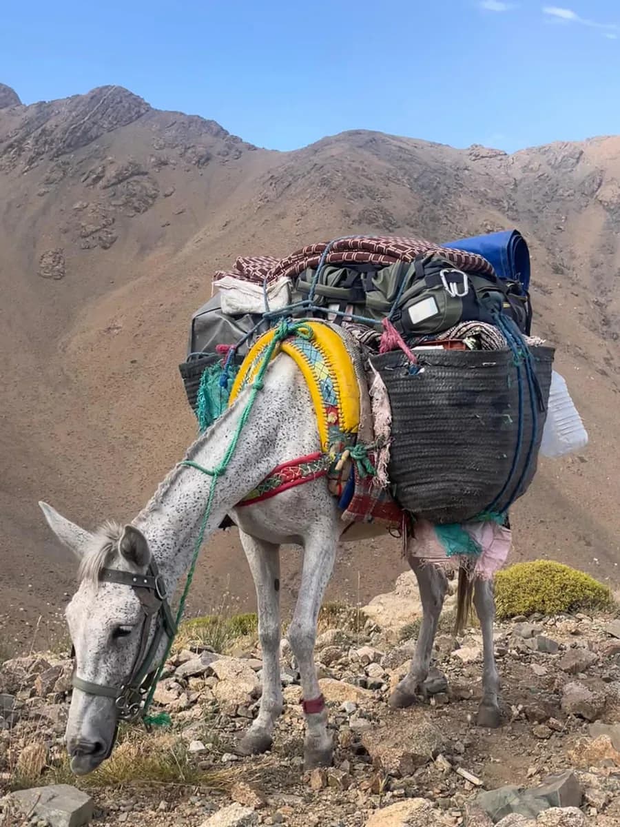 Atlas Mountains Trekking & Cycling Adventure