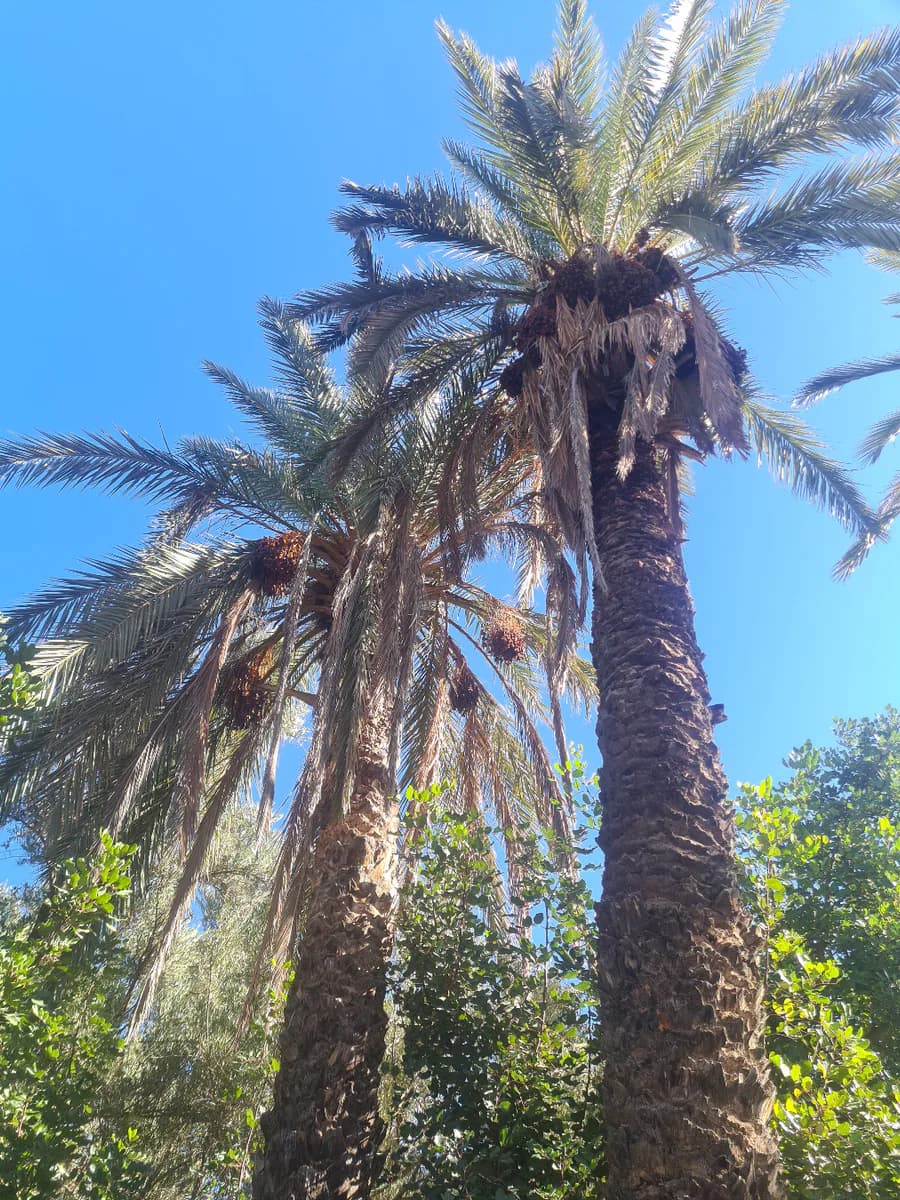 Tizi hike 4