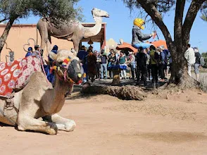 Ruta en quad por el desierto de palmeras de Marruecos