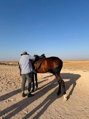Horseback & Camel Rides Around Marrakech