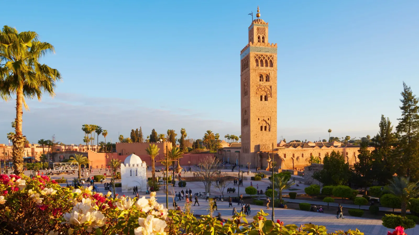 Marrakech Medina & Jemaa el-Fna Evening Walk