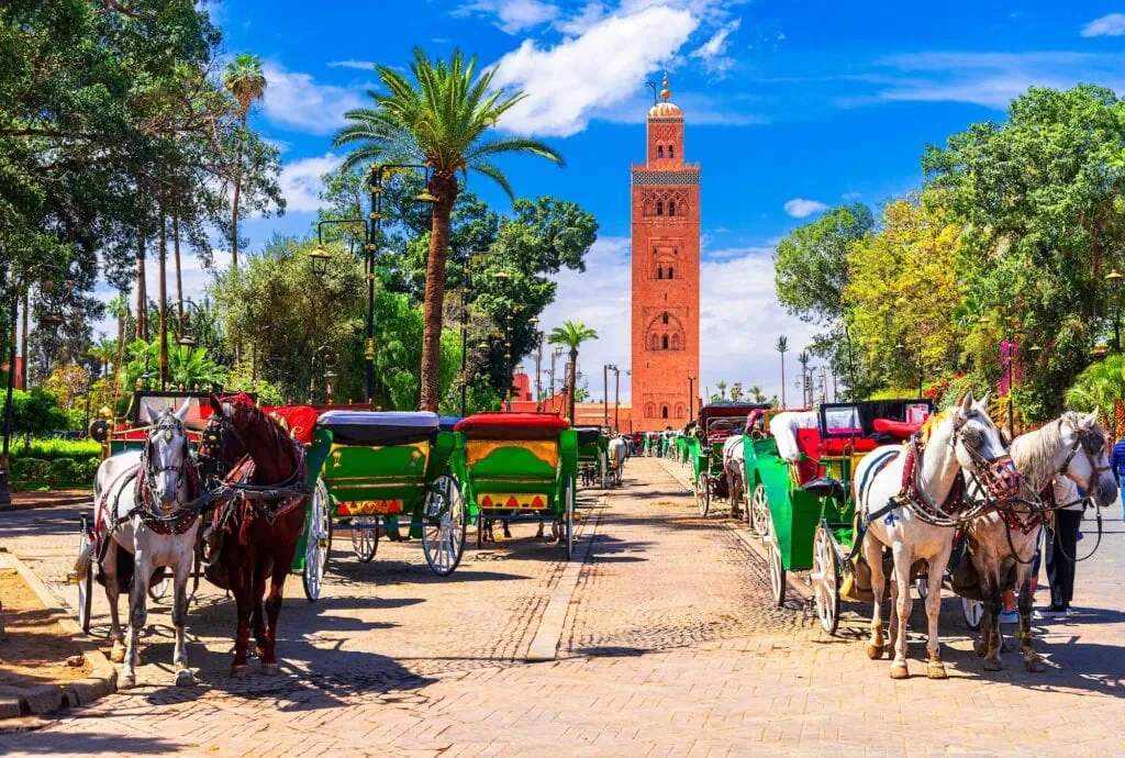 Paseo patrimonial por Marrakech entre palacios, jardines y la vida de la medina