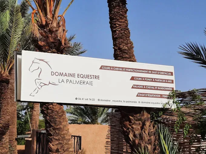 Paseo a caballo en un oasis de palmeras de Marruecos
