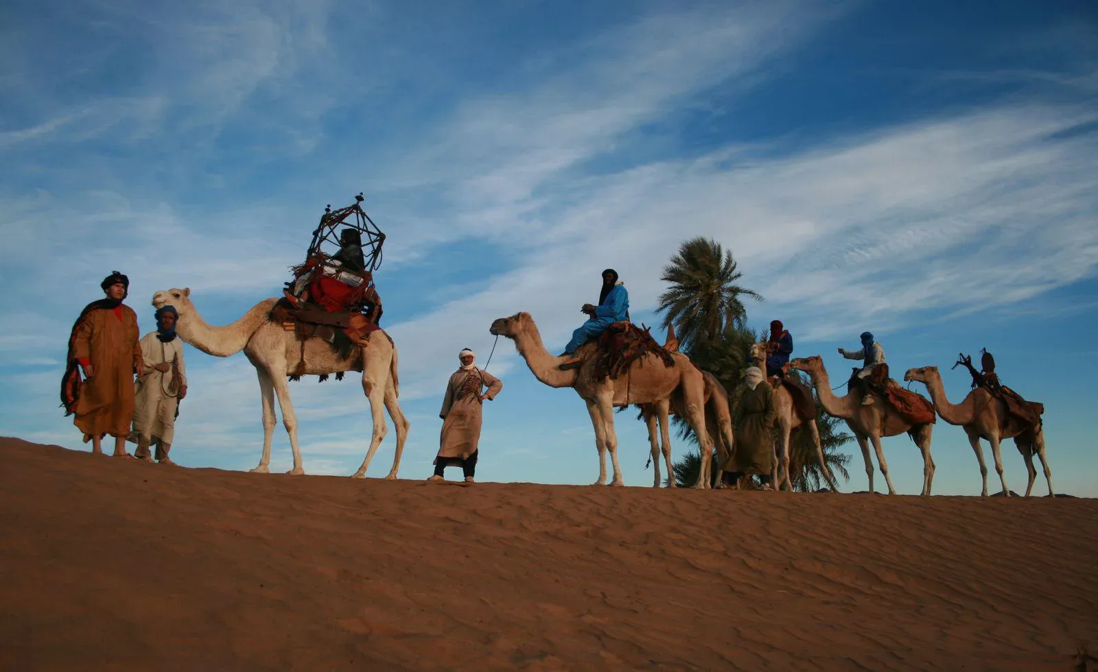 Experiencia de caravana de camellos y mercado de Marrakech
