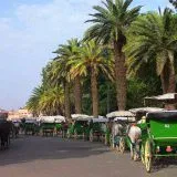 Marrakech Medina, Souks & Lanterns Walk