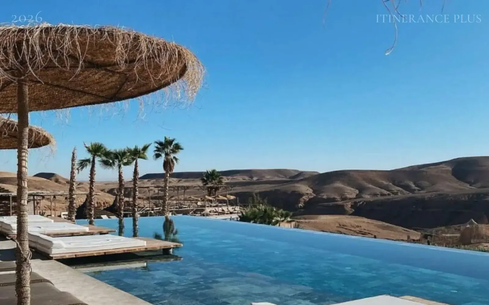 Desert Oasis Camel & Quad Adventure