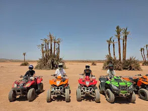 Desert Quad Biking Among Palms and Open Landscapes